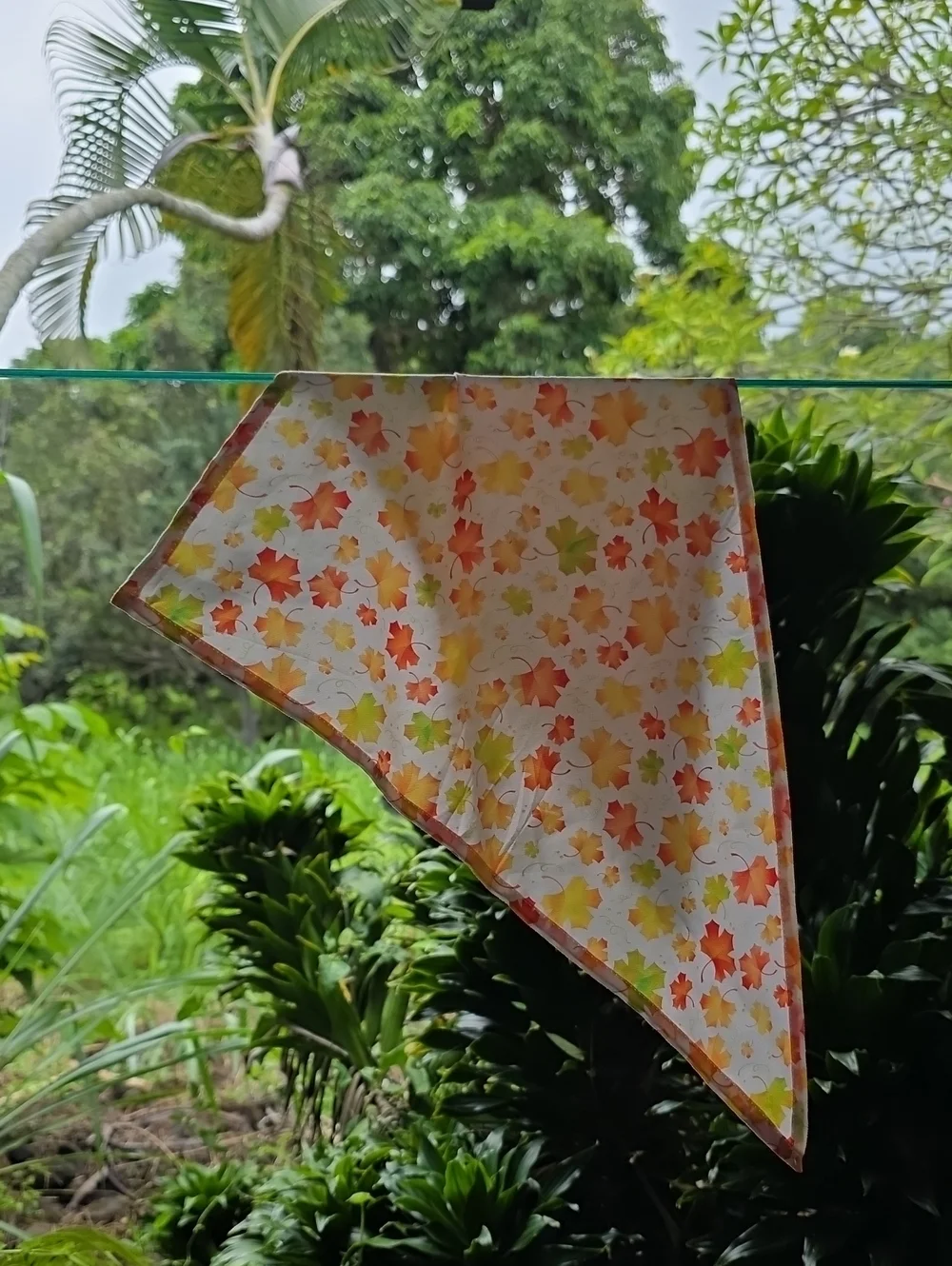 The Unbranded Brand approx side vibrant